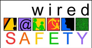 Build a bear wired safety