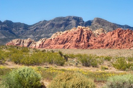 Desert Landscape at Red Rock Canyon, Nevada