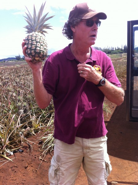 Maui Pineapple Tour 23