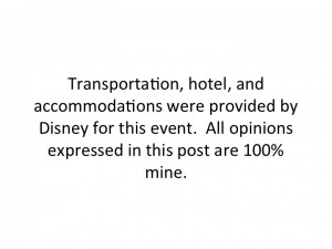 Disney Disclosure